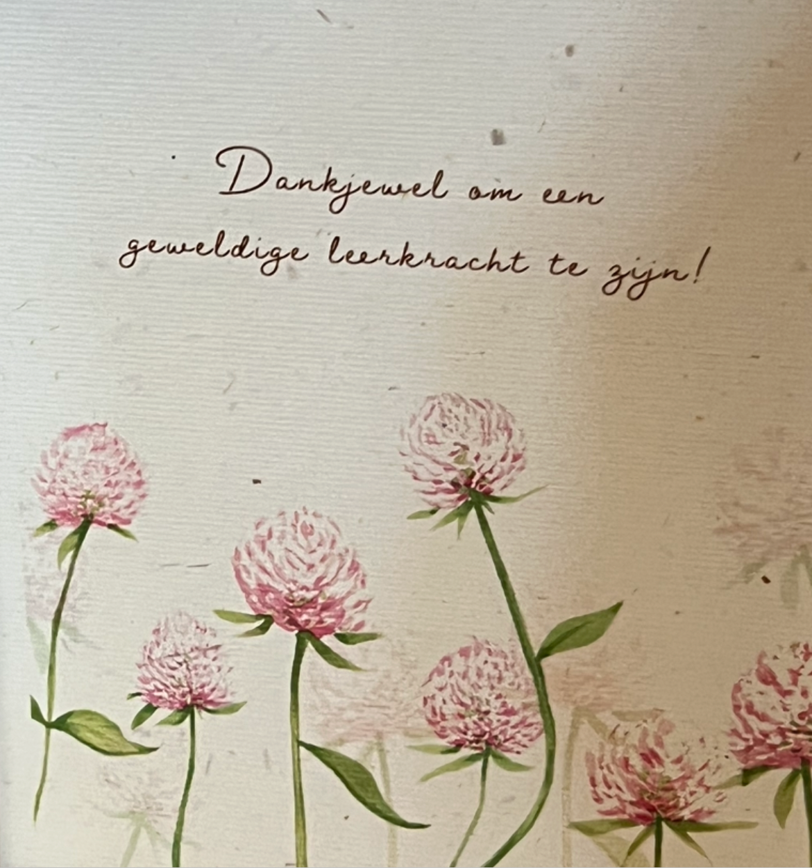 Droogbloemetjes in een foto/kaartjeshouder voor een geweldige leerkracht
